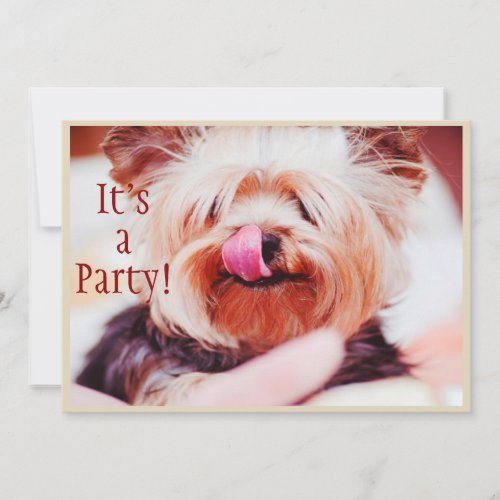 Fun Dog Licking There will be Cake Birthday Party Invitation