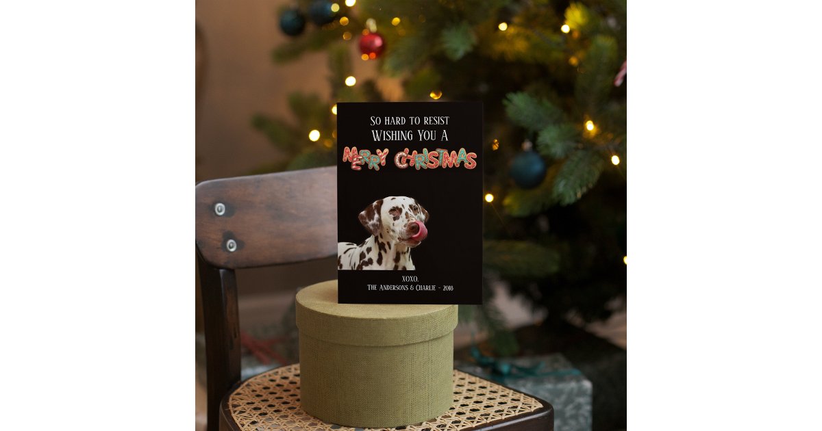 Fun Dog Photo Christmas Cookie Holiday Card | Zazzle