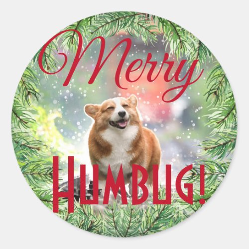 Fun Dog Photo Christmas Wreath Merry Humbug Classic Round Sticker