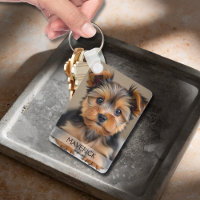 Fun Dog Photo Double Sided Aluminum