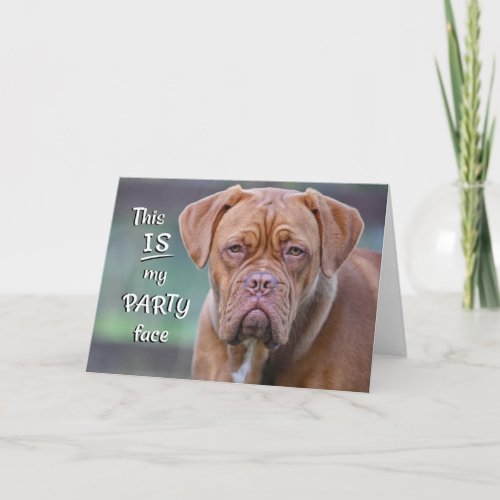 Fun Dog Wishes Add Name and Age for Happy Birthday Card