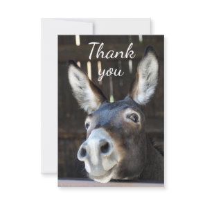 Fun Donkey, Burro, Farm Animal Humor Thank You Card