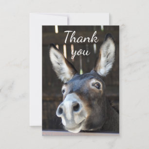Fun Donkey, Burro, Farm Animal Humor Thank You Card