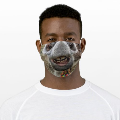 Fun Donkey _ Mouth _ Smile _ Be Happy _ Adult Cloth Face Mask