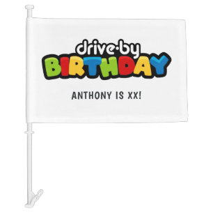 Fun Drive By Birthday Party Car Flag