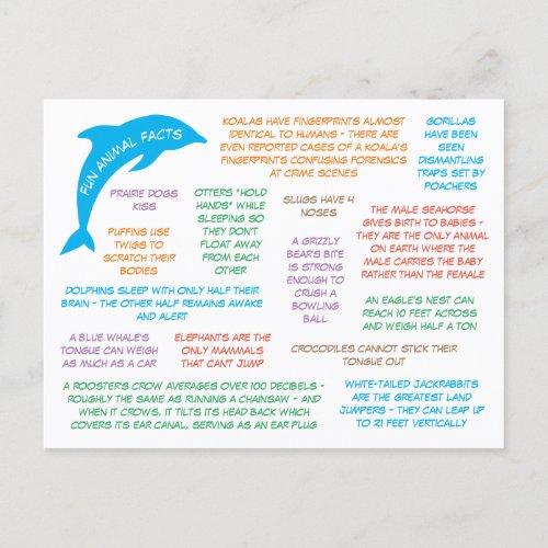 Fun Facts About Animals Cute  Colorful Postcard