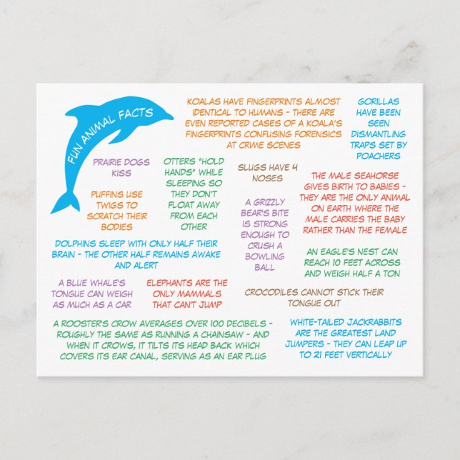 Fun Facts About Animals Cute & Colorful Postcard (Front)