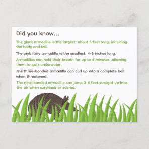 Fun Facts About Armadillos Postcard