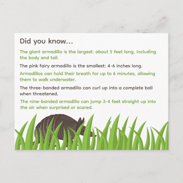 Fun Facts About Armadillos Postcard (Front)