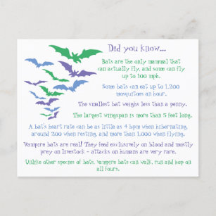 Fun Facts About Bats Postcard