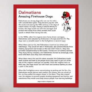 Fun Facts about Dalmatians Firehouse Dogs