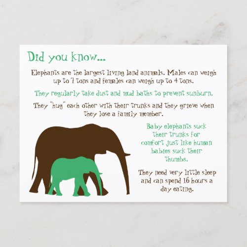 Fun Facts About Elephants Postcard