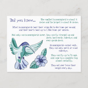 Fun Facts About Hummingbirds Postcard