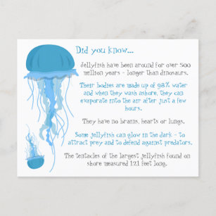 Fun Facts About Jellyfish Postcard