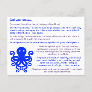 Fun Facts About Octopuses Postcard