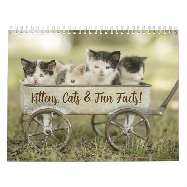 Fun Facts Kitten Cat Calendar (Cover)