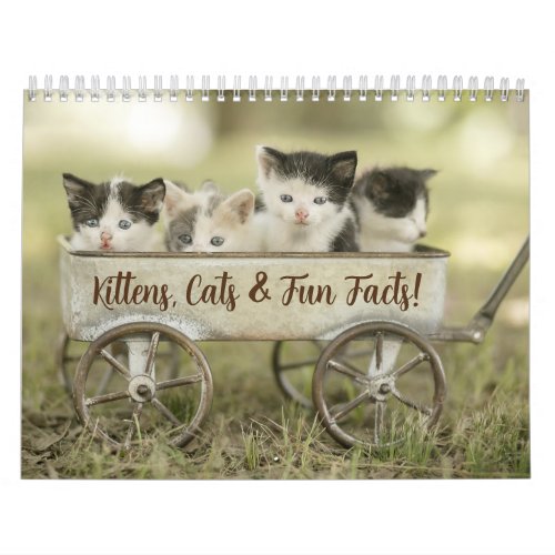 Fun Facts Kitten Cat Calendar