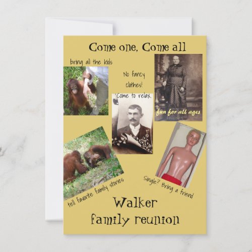 Fun Family Reunion Invitation