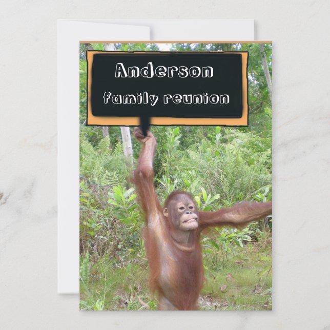 Fun Family Reunions Invitation (Front)