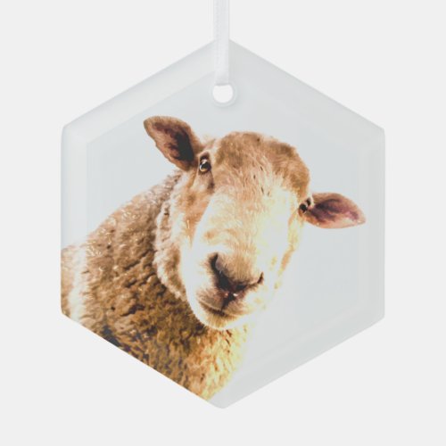 Fun Farm Animal Sheep  Glass Ornament