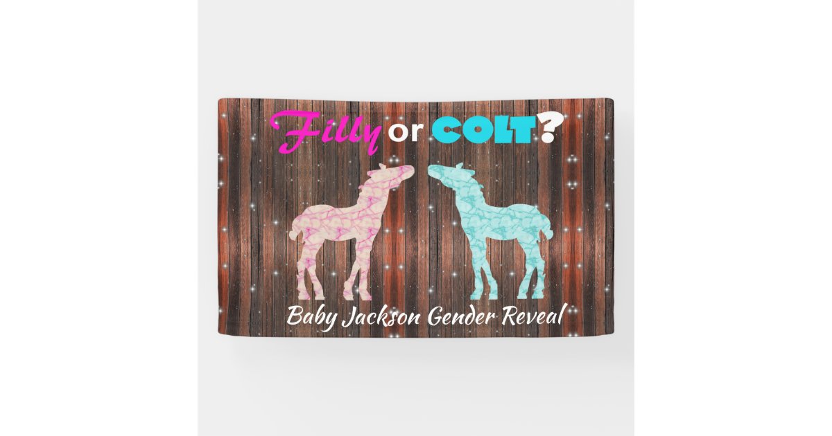 Fun "Filly or Colt" Gender Reveal Banner | Zazzle