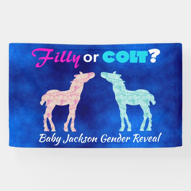 Fun "Filly or Colt" Gender Reveal Banner (Horizontal)