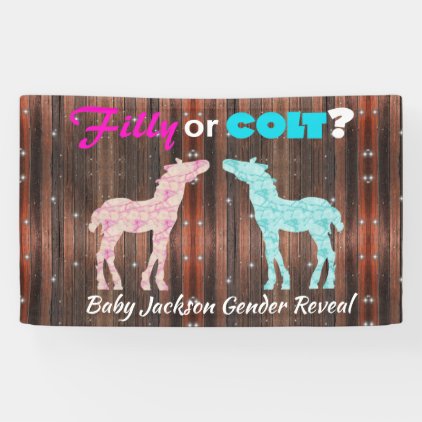 Fun &quot;Filly or Colt&quot; Gender Reveal Banner