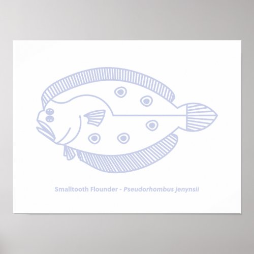 Fun Flounder Fish in Light Purple and White Poster