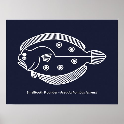 Fun Flounder Fish in White on Deepest Blue Poster