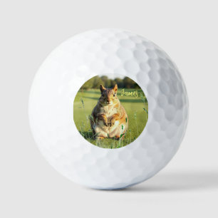 Fun Fox Squirrel Golf Balls