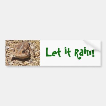 Fun Frog Bumpersticker For Fellow Drought Victims Bumper Sticker by patcallum at Zazzle