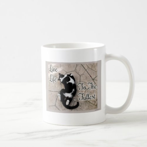 Fun Full Life Motivational Cat Photo Quote Coffee Mug