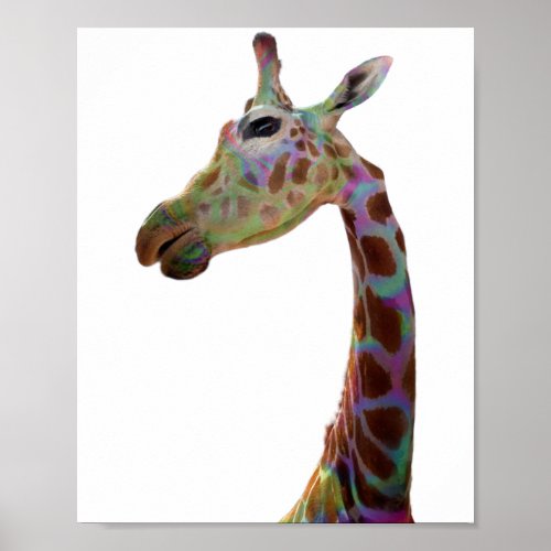 Fun funky colorful Giraffe Poster