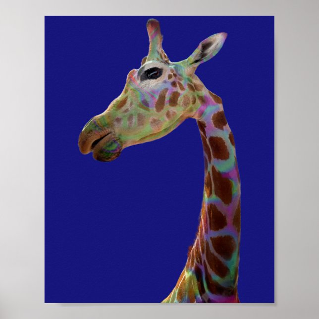 Fun funky rainbow colorful Giraffe   Poster (Front)