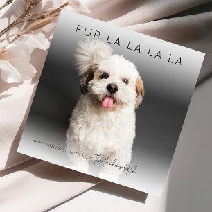 Fun Fur La La La   Photo Christmas Holiday Card