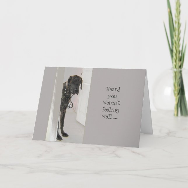 Fun Get Well Great Dane Dog Dogter (doctor) Humor Card (Front)