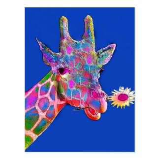 Fun Giraffe Sunflower Colors Postcard