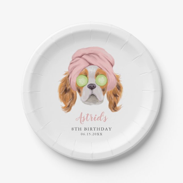 Fun Girls Spa Birthday Party Paper Plates (Front)