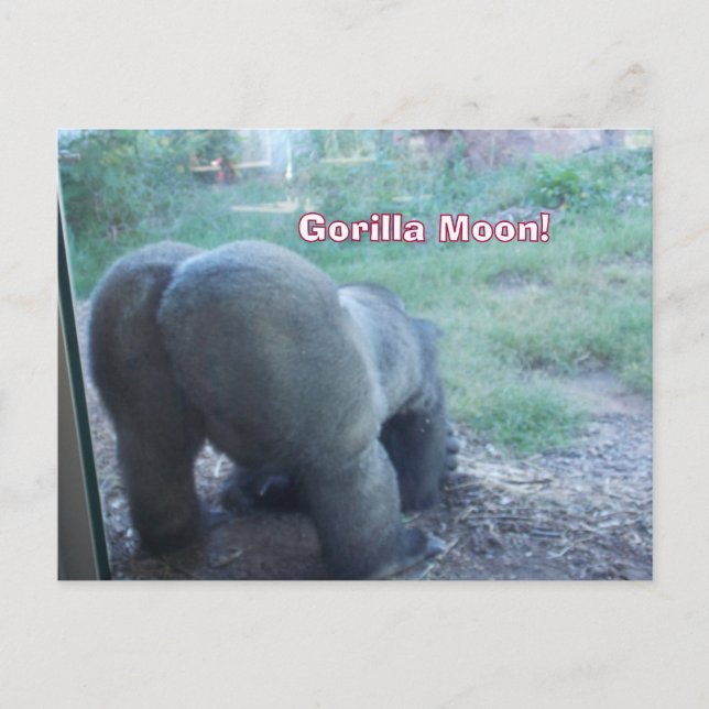 Fun Gorilla Moon Postcard (Front)