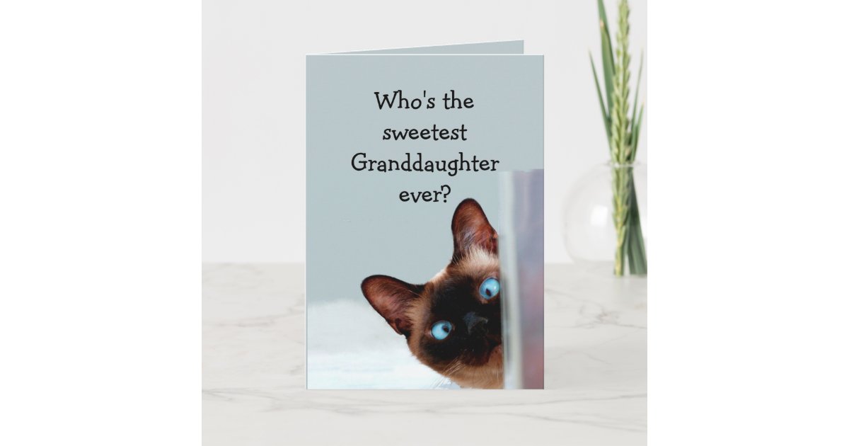 Fun Granddaughter Birthday Wishes Siamese Cat Card 