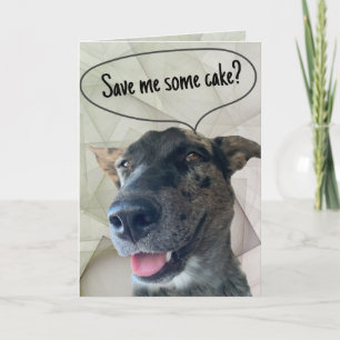 Fun Gray Brindle Cattle Dog Photograph Card
