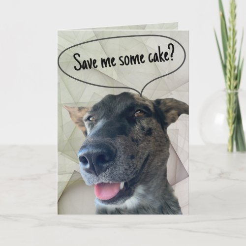 Fun Gray Brindle Cattle Dog Photograph  Card