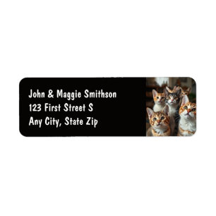 Fun Group of Cats Kittens Animal Pets Label