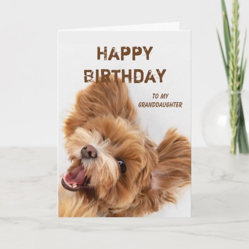 Fun Happy Birthday Granddaughter Cute Dog Puppy  Holiday Card