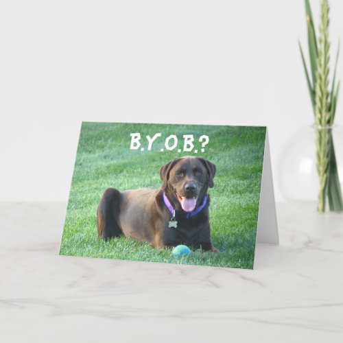 Fun Happy Birthday Greeting Card 4 Dog Lovers Card