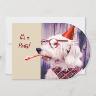 Fun Happy Cute Dog Birthday Party Hat Glasses Invitation