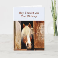 Fun Hay I herd it was your Birthday Horse peeking