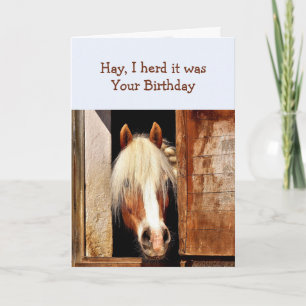 Fun Hay I herd it was your Birthday Horse peeking Card