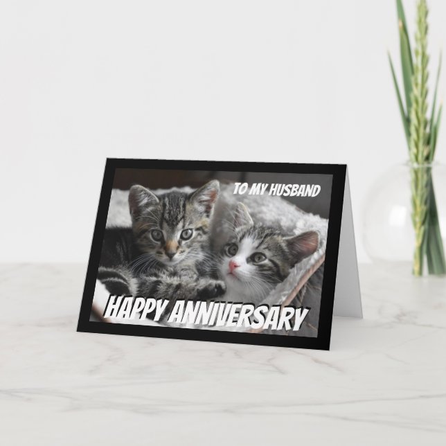 Fun Heart to Heart Husband Anniversary Cat Animal Card (Front)