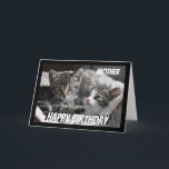 Fun Heart to Heart Mother Birthday Cat Animal Card<br><div class="desc">If you love Cats or Animals this card will bring a smile to your face  Perfect for the Mother who loves Cats.  We may not always see eye to eye but always heart to heart</div>